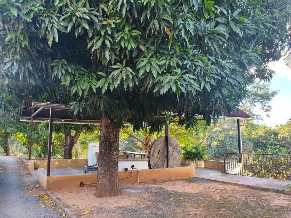 Pousada Do Rio Corrente Alvorada do Norte Eksteriør billede